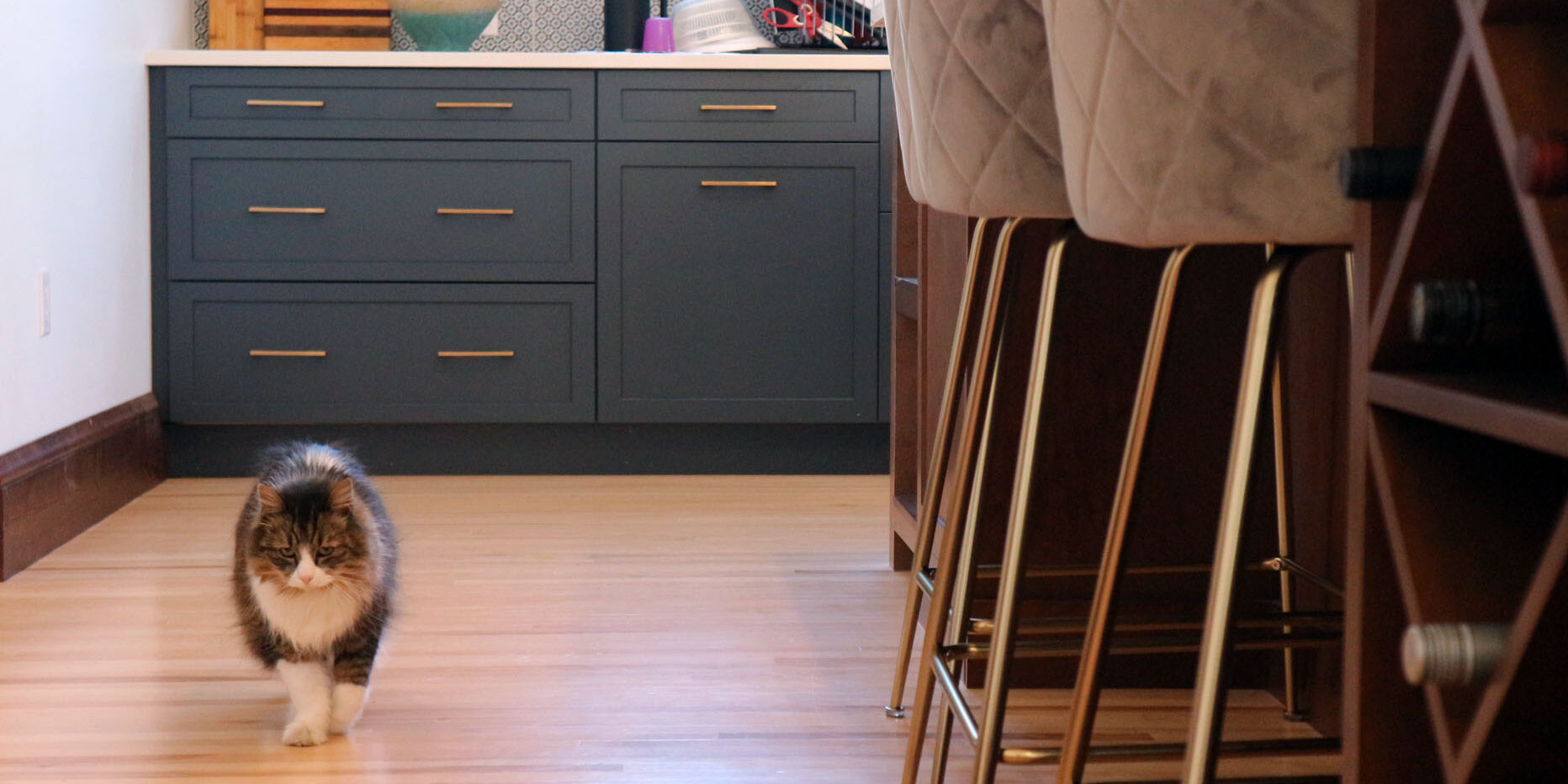 cozy transition style kitchen