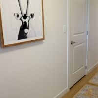 antelope art