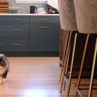 cozy transition style kitchen